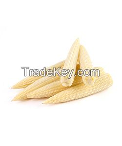 FROZEN BABY CORN FOR STIR FRY MEALS MIXED VEGETABLE PACKS AND OEM PRIVATE LABEL EXPORTS FROM VIETNAM