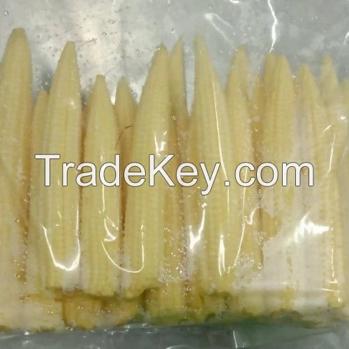 IQF BABY CORN FOR FROZEN FOOD EXPORTERS VEGETABLE PROCESSORS AND GLOBAL SUPERMARKET CHAIN SUPPLY
