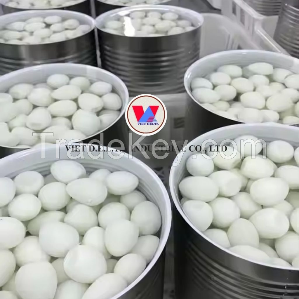 NATURAL CANNED QUAIL EGGS FOR PREMIUM FOOD BRANDS CATERING SERVICES AND READY MEAL MANUFACTURERS WORLDWIDE