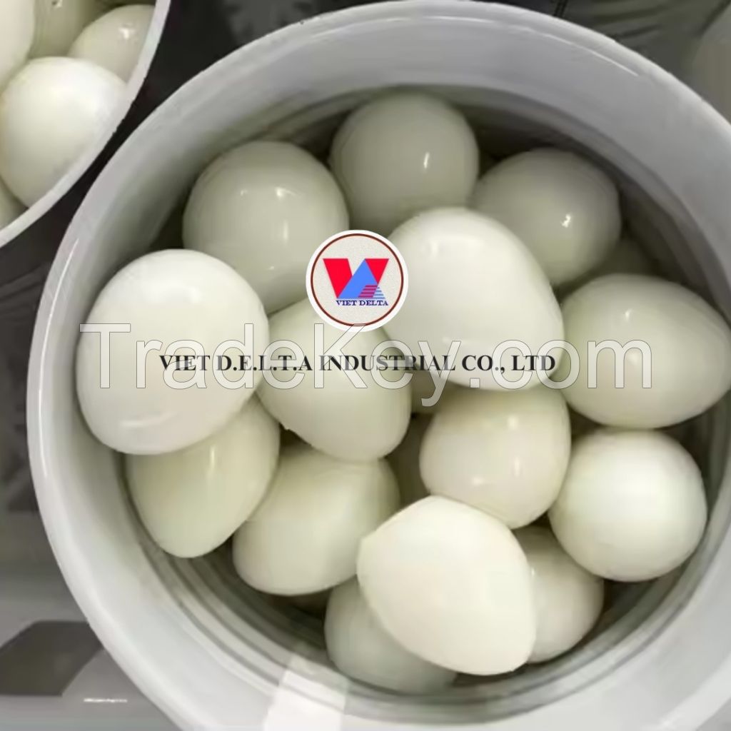 NATURAL CANNED QUAIL EGGS FOR PREMIUM FOOD BRANDS CATERING SERVICES AND READY MEAL MANUFACTURERS WORLDWIDE
