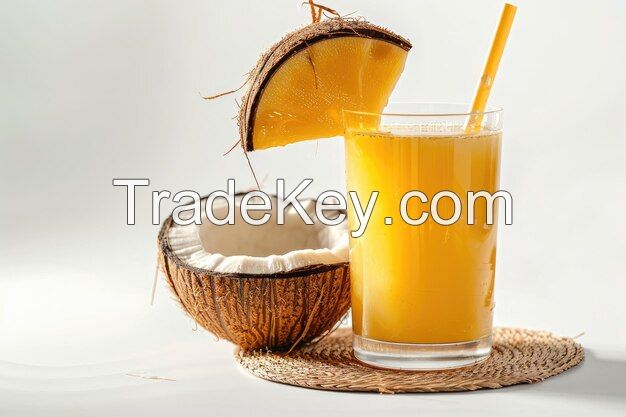 COCONUT CONCENTRATE FROM VIETNAM / PREMIUM INGREDIENT / FOR ICE CREAM SMOOTHIES AND HEALTH FOOD PRODUCTION
