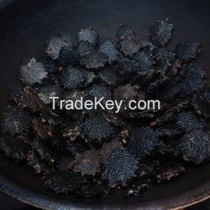 NATURAL GAC FRUIT NUT / ANTIOXIDANT RICH / PLANT-BASED / CLEAN INGREDIENT