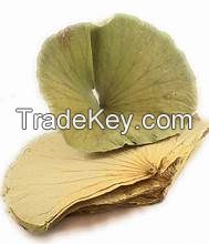 CLEAN LABEL DRIED LOTUS LEAF HERBAL TEA INGREDIENT FOR IMMUNE BOOST AND WELLNESS