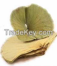 PURE DRIED LOTUS LEAF CLEAN LABEL PLANT BASED TEA HERBAL IMMUNE SUPPORT