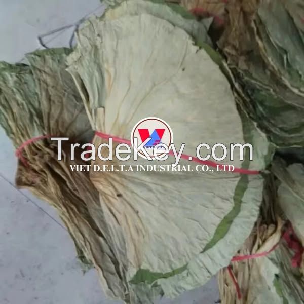 PURE DRIED LOTUS LEAF CLEAN LABEL PLANT BASED TEA HERBAL IMMUNE SUPPORT
