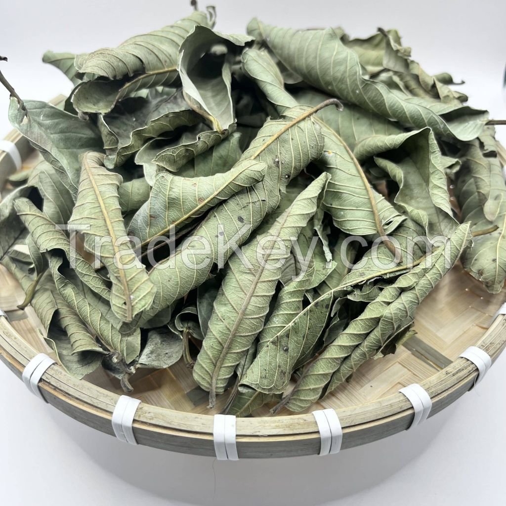 GUAVA LEAF DRIED HERBAL INGREDIENT / NATURALLY PROCESSED / SUITABLE FOR DETOX BLENDS AND GLOBAL FUNCTIONAL FOOD EXPORT