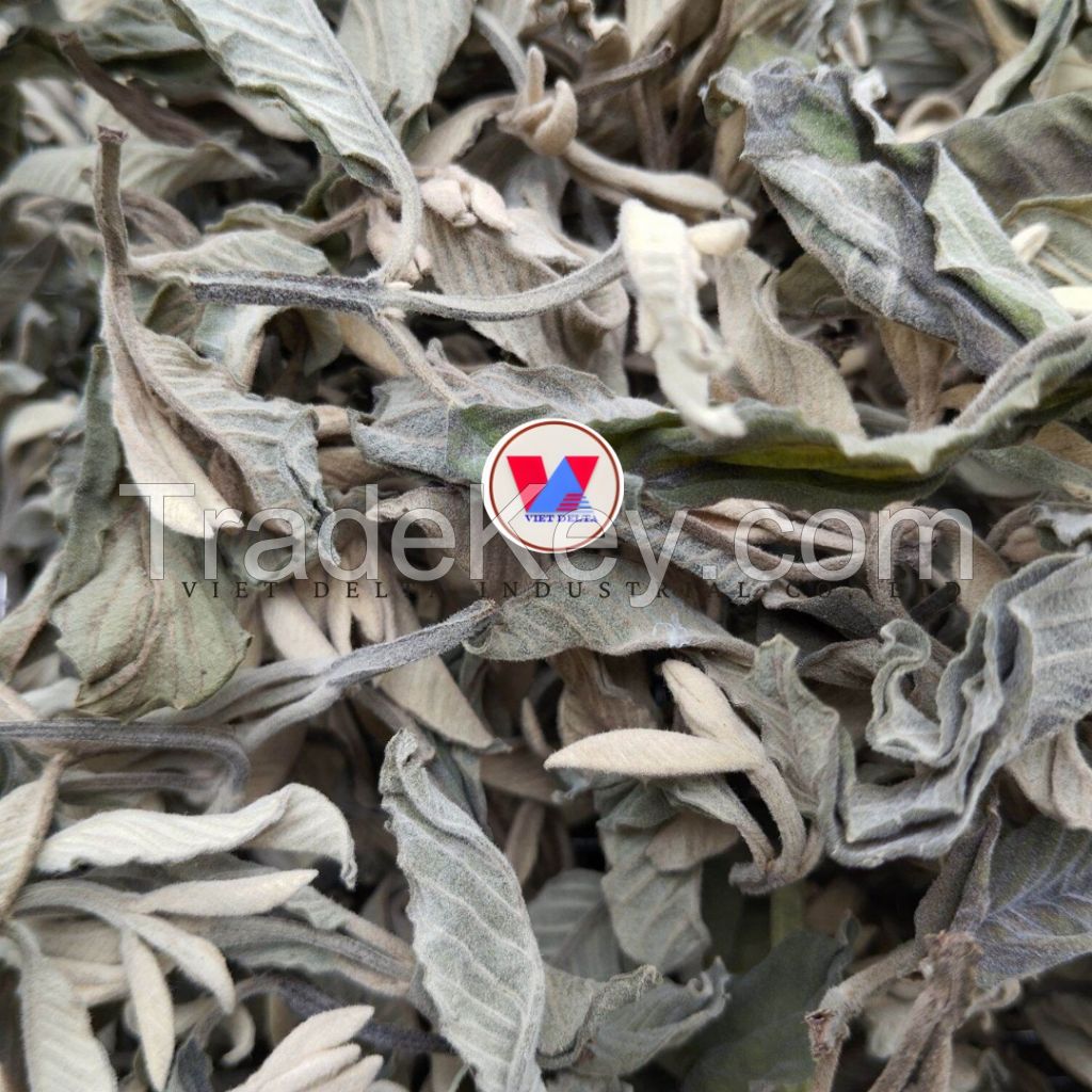 GUAVA LEAF DRIED HERBAL INGREDIENT / NATURALLY PROCESSED / SUITABLE FOR DETOX BLENDS AND GLOBAL FUNCTIONAL FOOD EXPORT