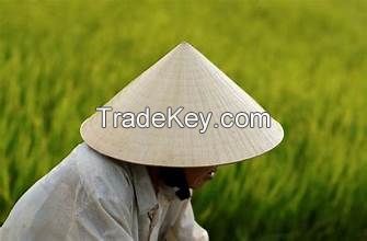 HANDMADE VIETNAMESE CONICAL HAT FROM PURE PALM LEAF FOR DAILY SUN PROTECTION ECO FRIENDLY CLEAN PRODUCT