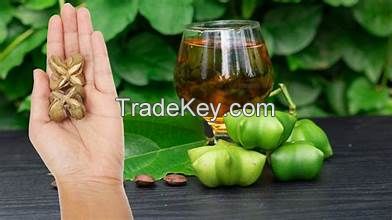 PREMIUM PLANT BASED SACHA INCHI OIL COLD PRESSED PURE NATURAL SOURCE OF OMEGA FATTY ACIDS FOR CLEAN LIVING AND IMMUNE DEFENSE