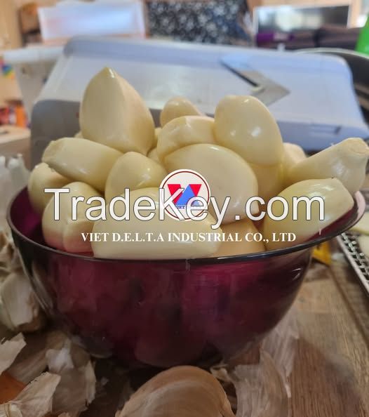 GARLIC POWDER FROM FRESH GARLIC CLEAN LABEL PLANT BASED SUPPORT FOR NATURAL IMMUNE HEALTH