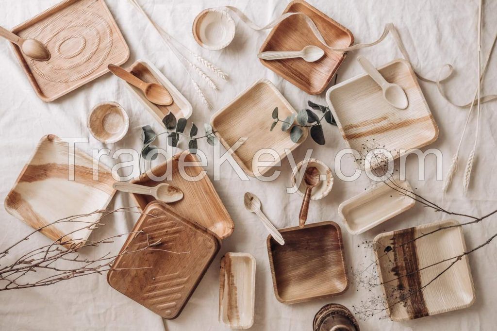  READY FOR RETAIL BRANDS PICNICS AND CLEAN LABEL EXPORT CHAINS