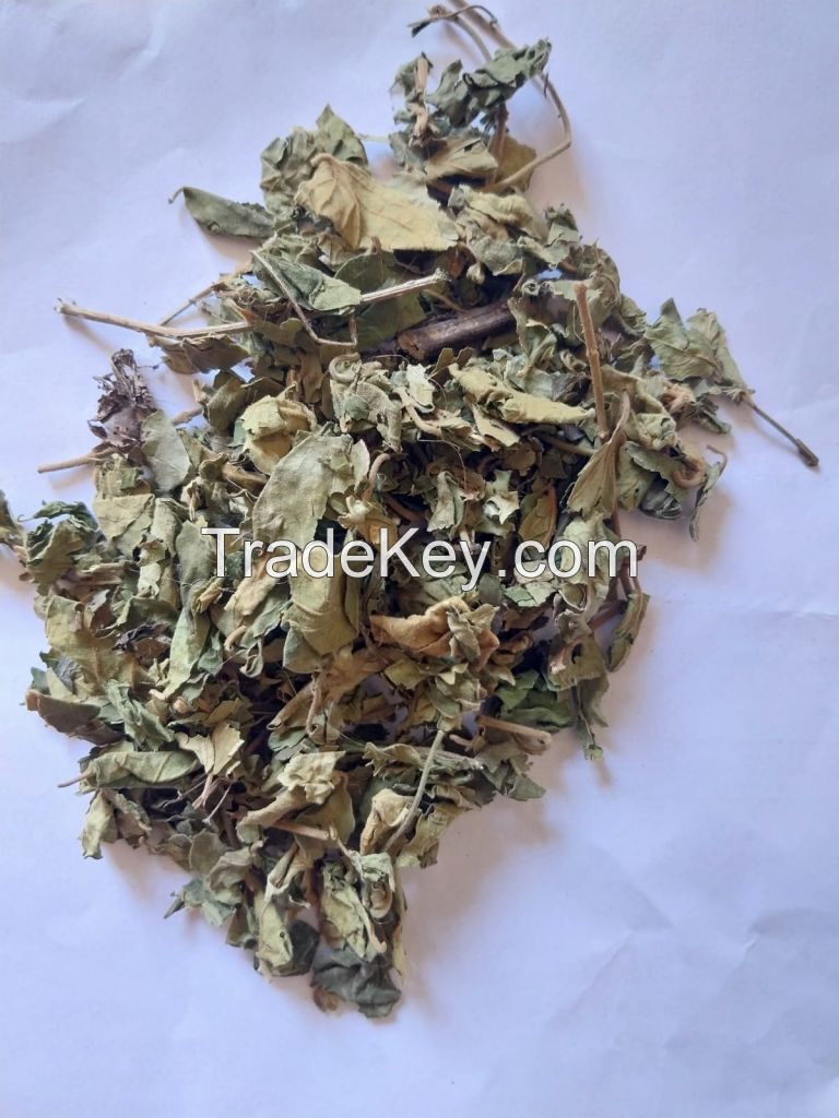 FOOD GRADE DRIED TARO LEAVES / RICH IN NUTRIENTS / READY TO SHIP IN BULK FOR GLOBAL FOOD SUPPLY CHAINS