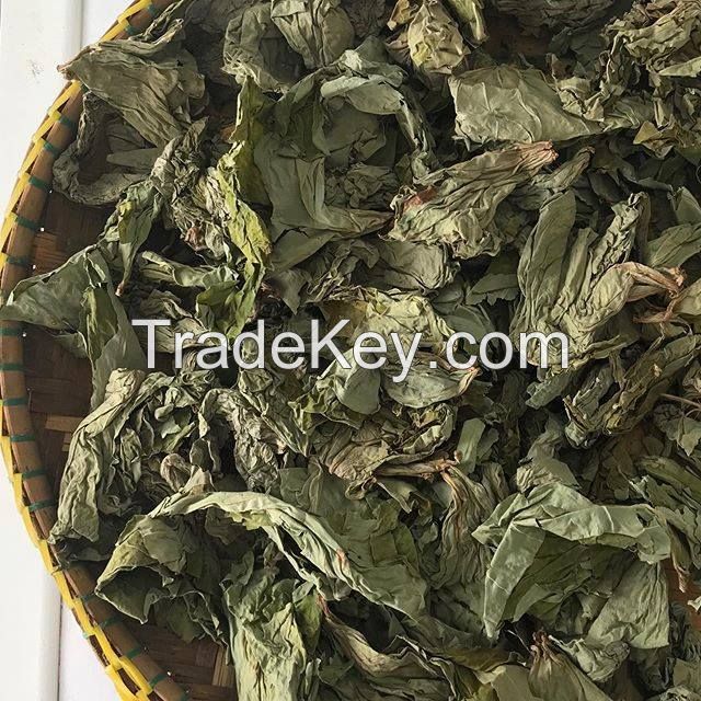 FOOD GRADE DRIED TARO LEAVES / RICH IN NUTRIENTS / READY TO SHIP IN BULK FOR GLOBAL FOOD SUPPLY CHAINS
