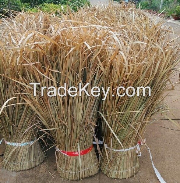 EXPORT STANDARD NATURAL DRIED SEAGRASS / ECO MATERIAL FOR HOME DECOR WEAVING / BULK SUPPLY READY