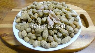 CLEAN LABEL BOILED PEANUT FROZEN NATURAL WHOLE FOOD SNACK WITH BOTANICAL PLANT POWER