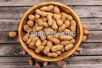 CLEAN LABEL BOILED PEANUT FROZEN NATURAL WHOLE FOOD SNACK WITH BOTANICAL PLANT POWER