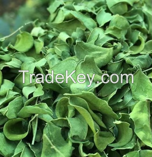 NATURAL MORINGA OLEIFERA LEAVES DRIED / CLEAN GREEN COLOR / READY FOR TEA OR CAPSULE USE