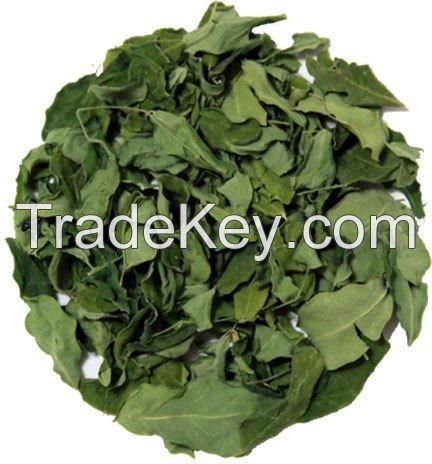 NATURAL MORINGA OLEIFERA LEAVES DRIED / CLEAN GREEN COLOR / READY FOR TEA OR CAPSULE USE