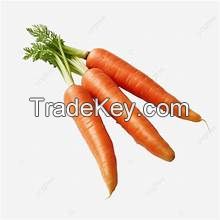 CLEAN LABEL FROZEN CARROT STRIPS NON GMO RICH IN FIBER AND VITAMINS FOR IMMUNE BOOSTING MEALS
