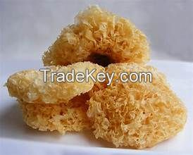 ALL NATURAL DRIED WHITE FUNGUS FOR IMMUNE SYSTEM BOOSTING HEALTHY COOKING CLEAN LABEL READY TO USE PRODUCT