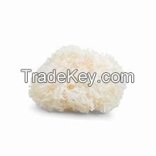 ALL NATURAL DRIED WHITE FUNGUS FOR IMMUNE SYSTEM BOOSTING HEALTHY COOKING CLEAN LABEL READY TO USE PRODUCT
