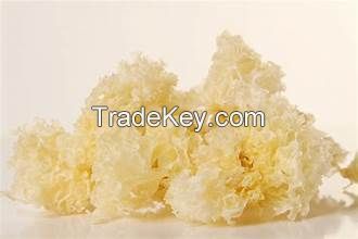 PURE PLANT BASED DRIED SNOW FUNGUS HIGH FIBER CLEAN LABEL SUPERFOOD FOR SOUP DESSERT AND BEAUTY CARE