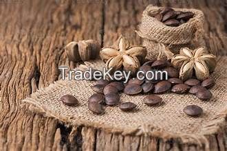 HIGH QUALITY SACHA INCHI SEEDS FOR PLANT BASED DIETARY SUPPORT RICH IN ANTIOXIDANTS AND ESSENTIAL AMINO ACIDS