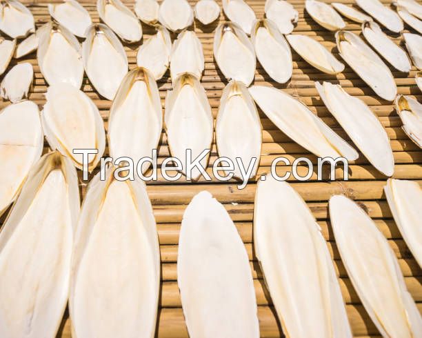 PURE DRIED CUTTLEFISH BONE / CALCIUM RICH / BULK SUPPLY FOR PET CARE AND FEED MANUFACTURERS