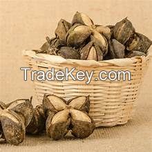 HIGH QUALITY SACHA INCHI SEEDS FOR PLANT BASED DIETARY SUPPORT RICH IN ANTIOXIDANTS AND ESSENTIAL AMINO ACIDS