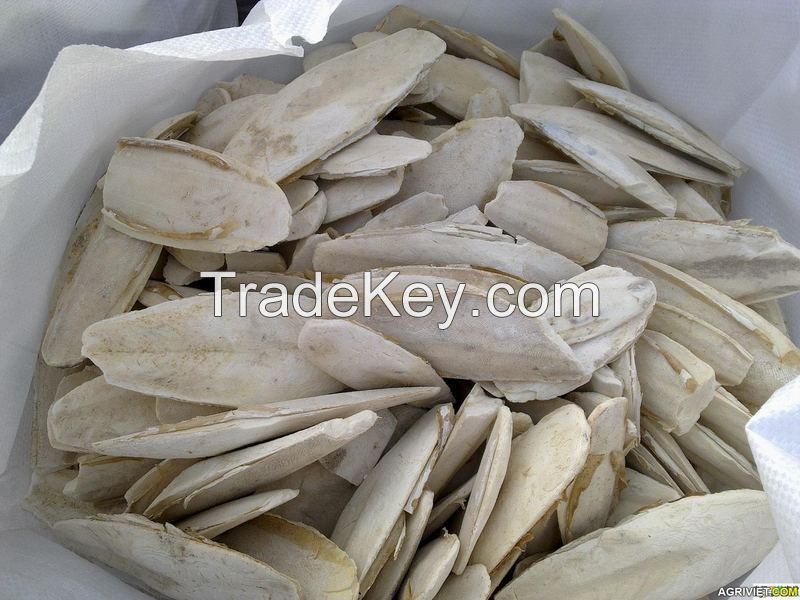 PURE DRIED CUTTLEFISH BONE / CALCIUM RICH / BULK SUPPLY FOR PET CARE AND FEED MANUFACTURERS