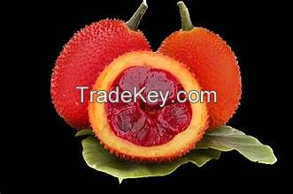 ALL NATURAL GAC FRUIT POWDER FOR IMMUNE SYSTEM BOOSTING AND HEALTHY AGING SUPPORT