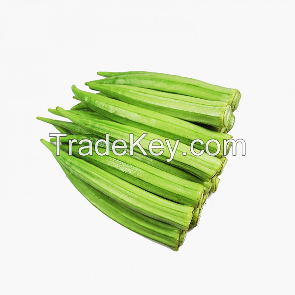 BEST PRICE IQF OKRA WHOLE GREEN FROZEN VEGETABLE 7-9CM | FOR BULK ORDER