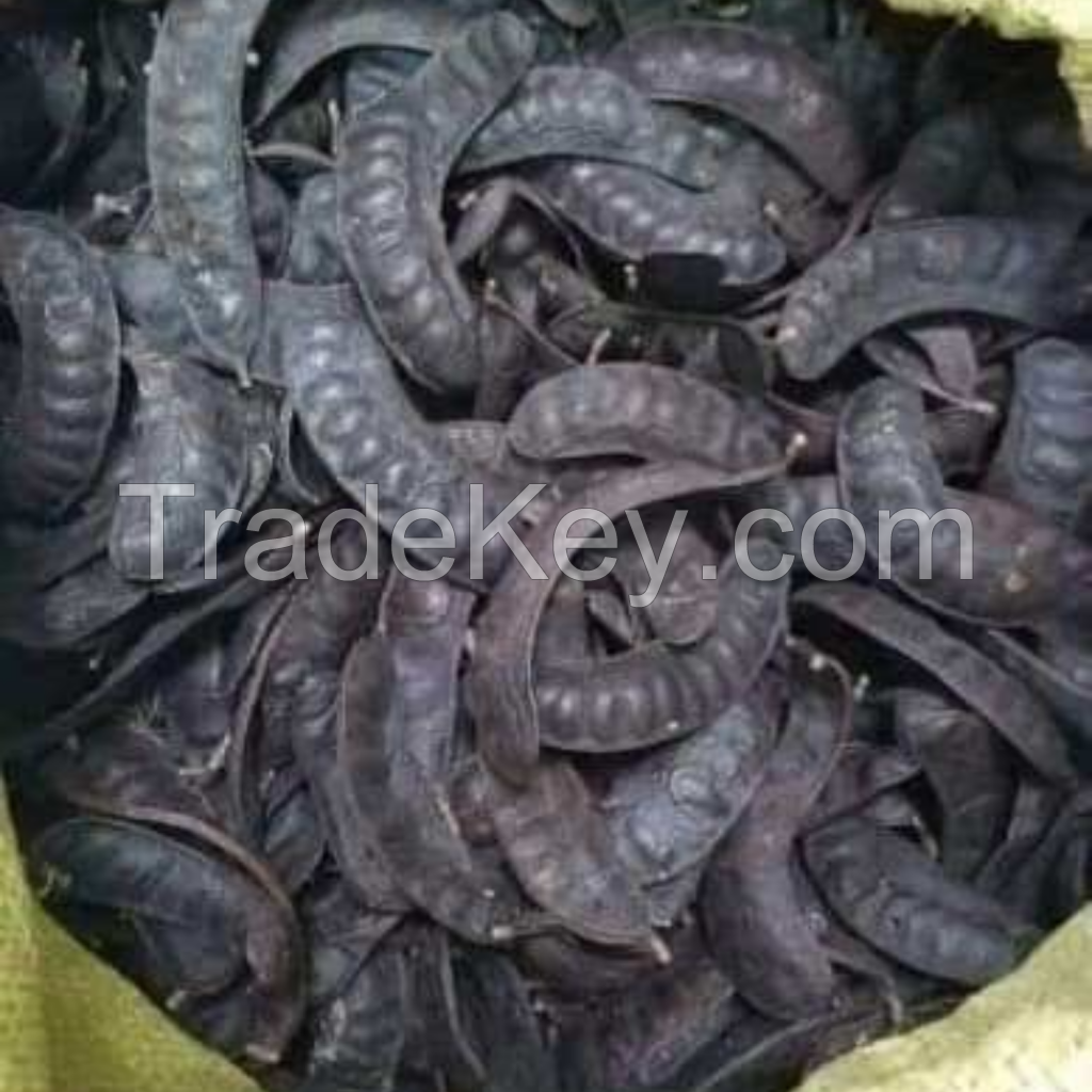 PREMIUM QUALITY DRIED GLEDITSIA PODS SUSTAINABLE VIETNAM SUPPLY FOR COSMETIC AND SPA USE