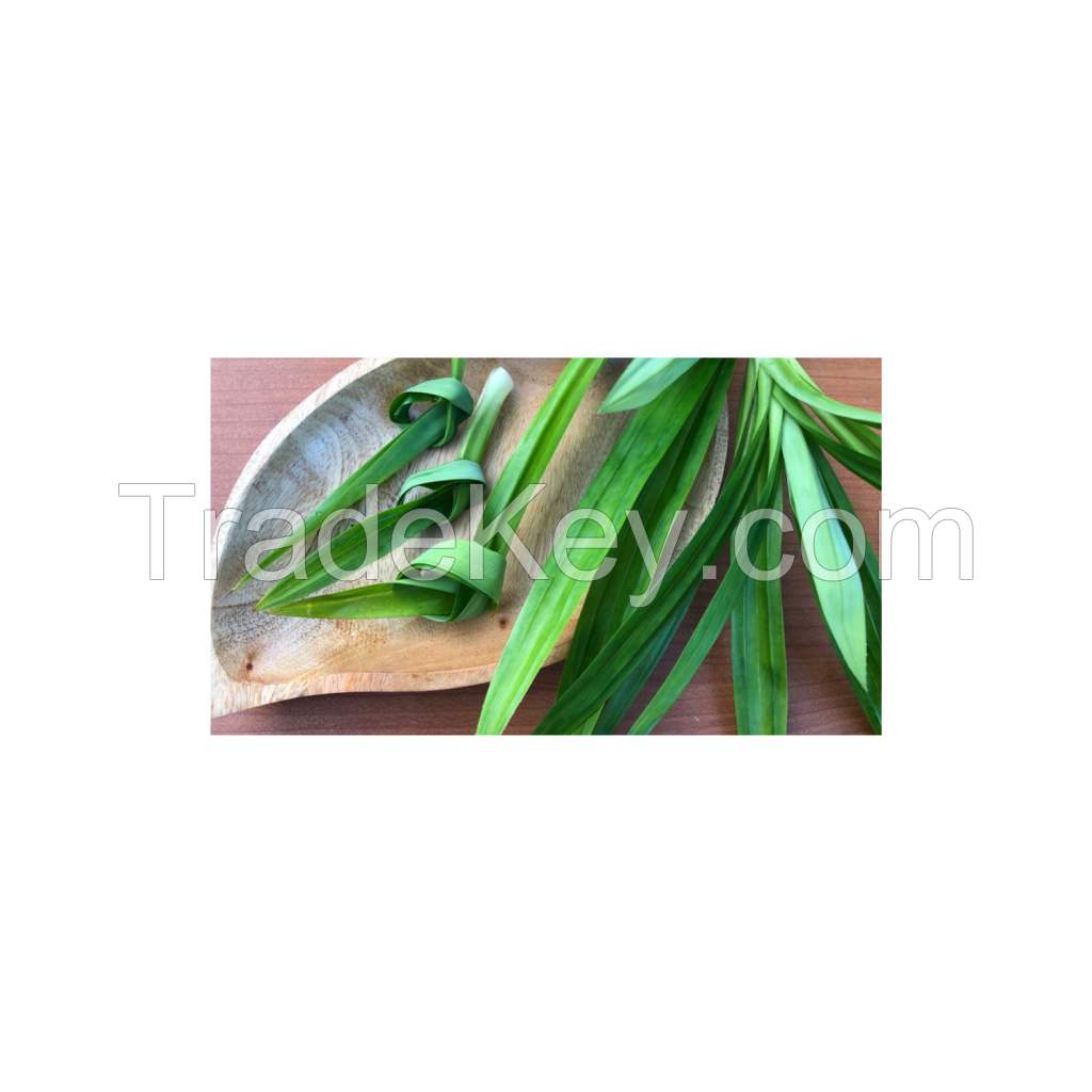 BEST SELLING DRIED PANDAN LEAVES 100% NATURAL FROM VIETNAM WITH PREMIUM QUALITY