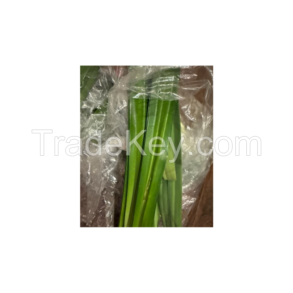 BEST SELLING DRIED PANDAN LEAVES 100% NATURAL FROM VIETNAM WITH PREMIUM QUALITY