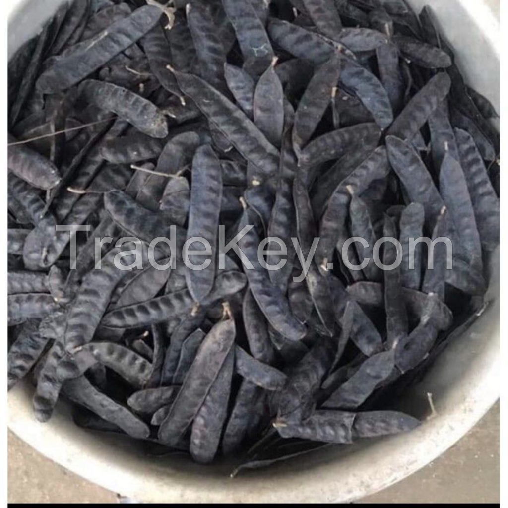 PREMIUM QUALITY DRIED GLEDITSIA PODS SUSTAINABLE VIETNAM SUPPLY FOR COSMETIC AND SPA USE