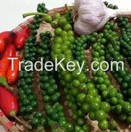 TOP SALES PEPPER PICKLED IN FISH SAUCE / PREMIUM VIETNAMESE FLAVOR / WHOLESALE SUPPLY / HOT DEAL