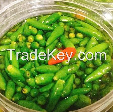 TOP SALES PEPPER PICKLED IN FISH SAUCE / PREMIUM VIETNAMESE FLAVOR / WHOLESALE SUPPLY / HOT DEAL