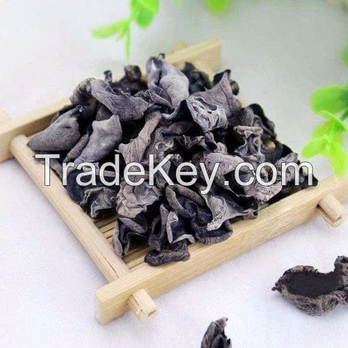 DRIED BLACK FUNGUS PREMIUM QUALITY NATURAL WOOD EAR MUSHROOM BULK WHOLESALE EXPORT SUPPLY HOT DEAL TOP SALES BEST PRICE