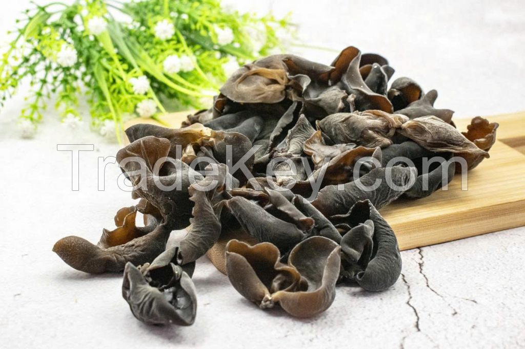 DRIED BLACK FUNGUS PREMIUM QUALITY NATURAL WOOD EAR MUSHROOM BULK WHOLESALE EXPORT SUPPLY HOT DEAL TOP SALES BEST PRICE