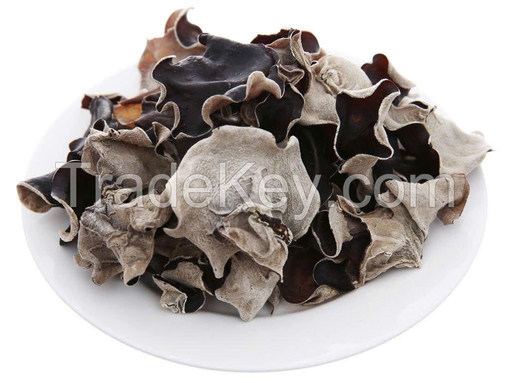 DRIED BLACK FUNGUS PREMIUM QUALITY NATURAL WOOD EAR MUSHROOM BULK WHOLESALE EXPORT SUPPLY HOT DEAL TOP SALES BEST PRICE