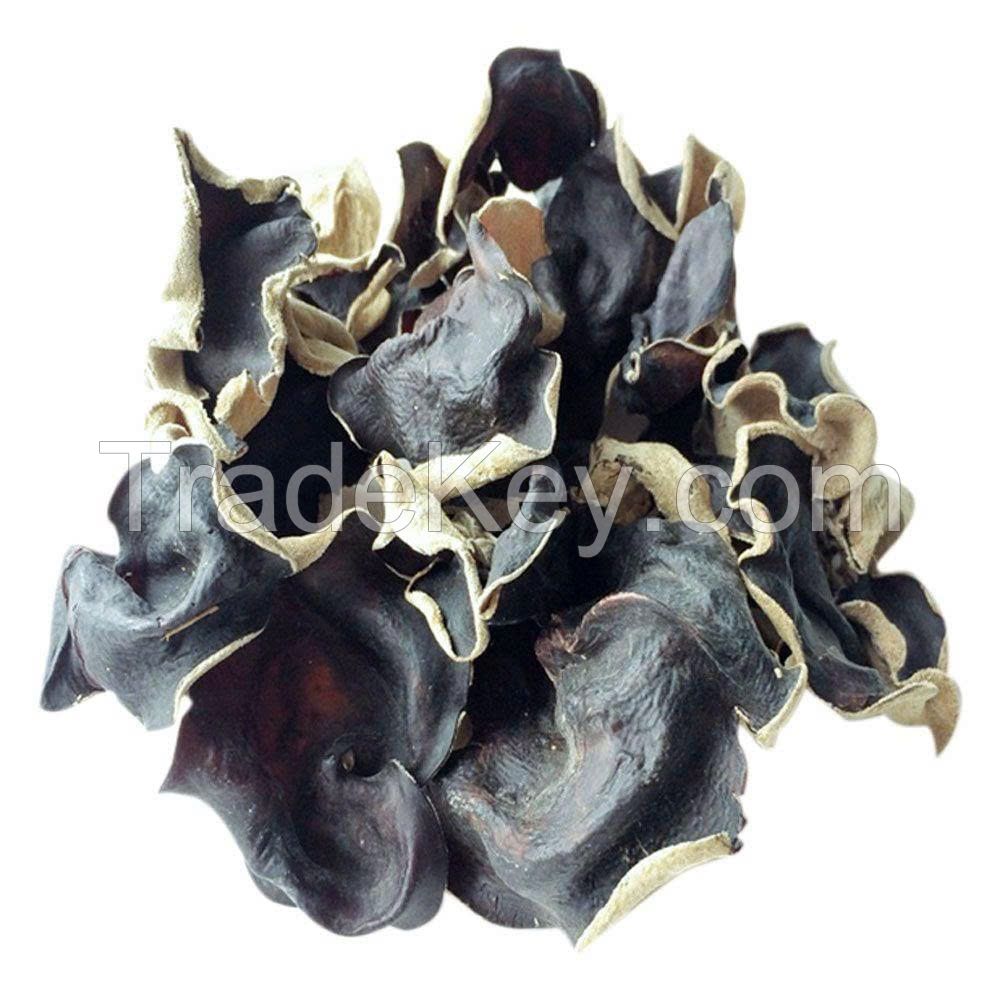 DRIED BLACK FUNGUS PREMIUM QUALITY NATURAL WOOD EAR MUSHROOM BULK WHOLESALE EXPORT SUPPLY HOT DEAL TOP SALES BEST PRICE