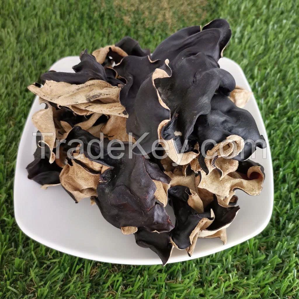 DRIED BLACK FUNGUS PREMIUM QUALITY NATURAL WOOD EAR MUSHROOM BULK WHOLESALE EXPORT SUPPLY HOT DEAL TOP SALES BEST PRICE