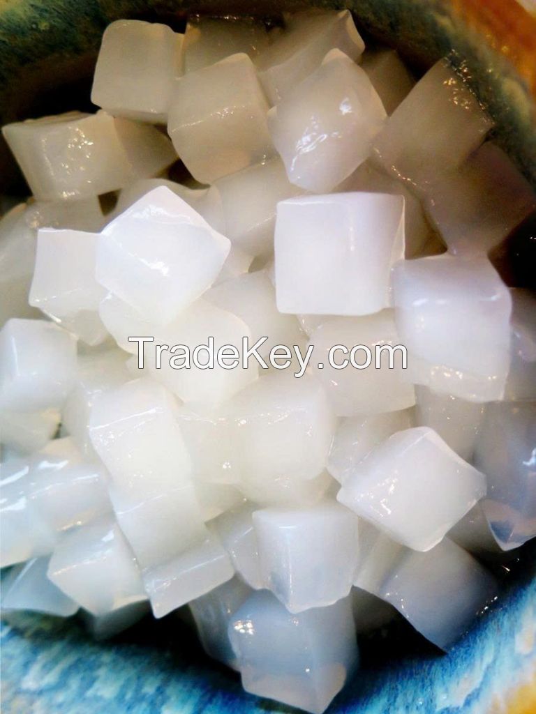 HOT DEAL NATA DE COCO PREMIUM QUALITY BULK WHOLESALE SUPPLY NATURAL COCONUT GEL EXPORT PRODUCT TOP SALES BEST PRICE
