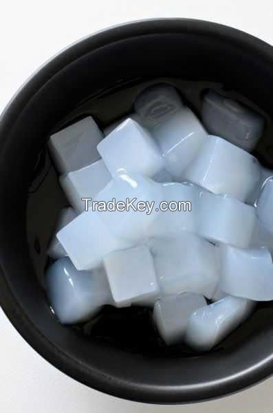 NATA DE COCO PREMIUM QUALITY NATURAL COCONUT GEL BULK WHOLESALE EXPORT SUPPLY HOT DEAL TOP SALES BEST OFFER