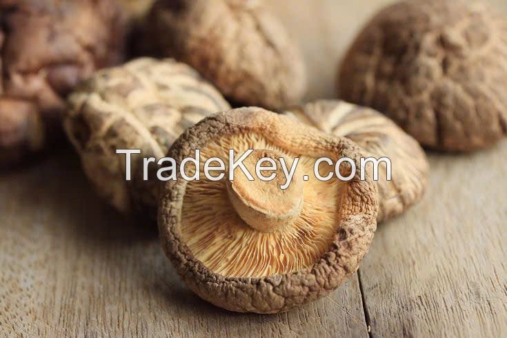 BEST SELLER NATURAL FRIED SHIITAKE MUSHROOM CRUNCHY HEALTHY SNACK