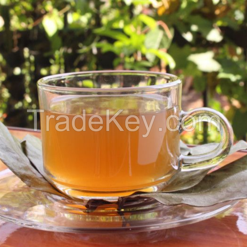 BEST SELLING SOURSOP LEAF TEA RICH IN ANTIOXIDANTS AND WELLNESS BENEFITS