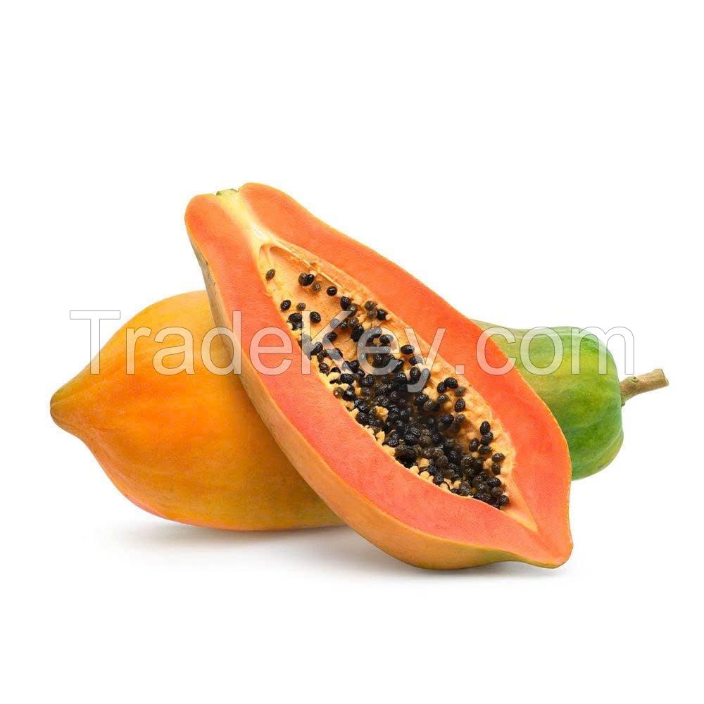 HOT DEAL FROZEN PAPAYA WHOLESALE BULK SUPPLY PREMIUM QUALITY TOP SALES NATURAL TROPICAL FRUIT EXPORT PRODUCT