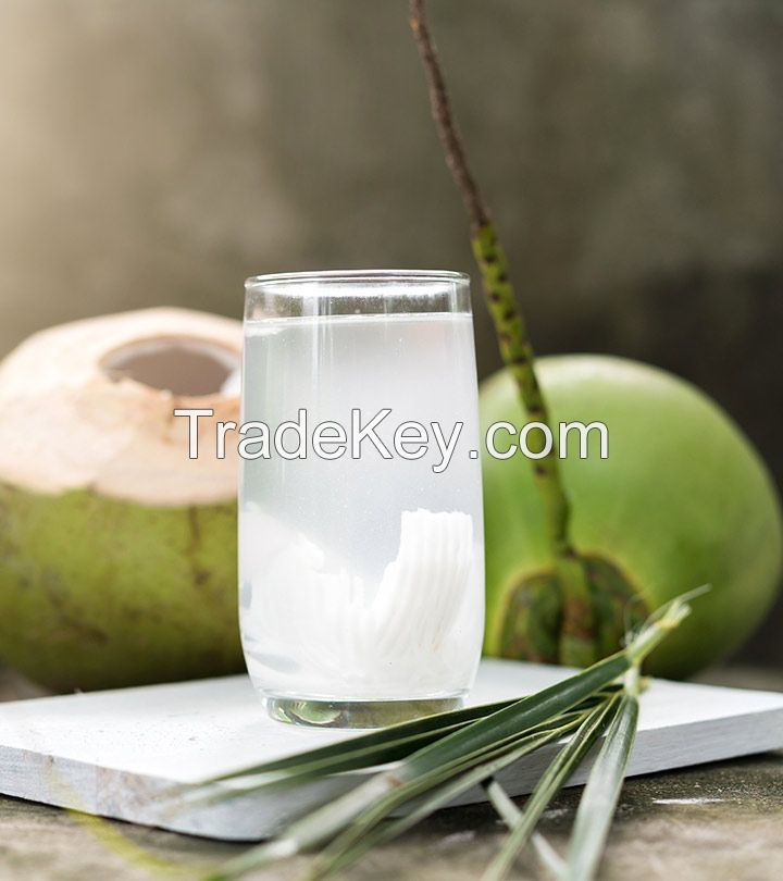PURE COCONUT WATER 100% NATURAL FROM VIETNAM