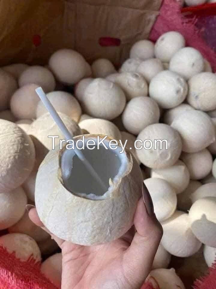 PURE COCONUT WATER 100% NATURAL FROM VIETNAM